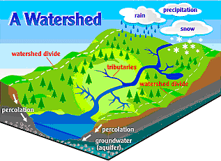 Diagram of a watershed from the Sandusky River Watershed Coalition