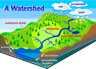 watershed diagram worksheet