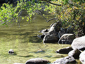River and Rocks