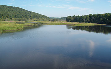 Rice City Pond after clearing with a mechanical harvester