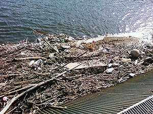 Garbage at Riverdale Mills Dam